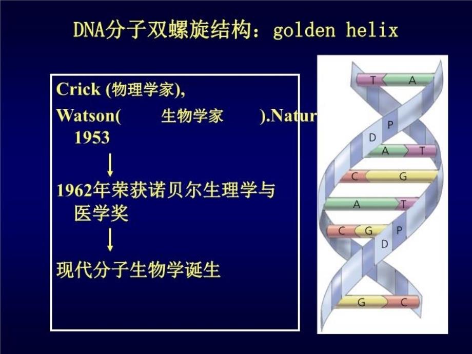 最新外科学与分子生物学Surgerymolecularbiologyppt课件_第3页