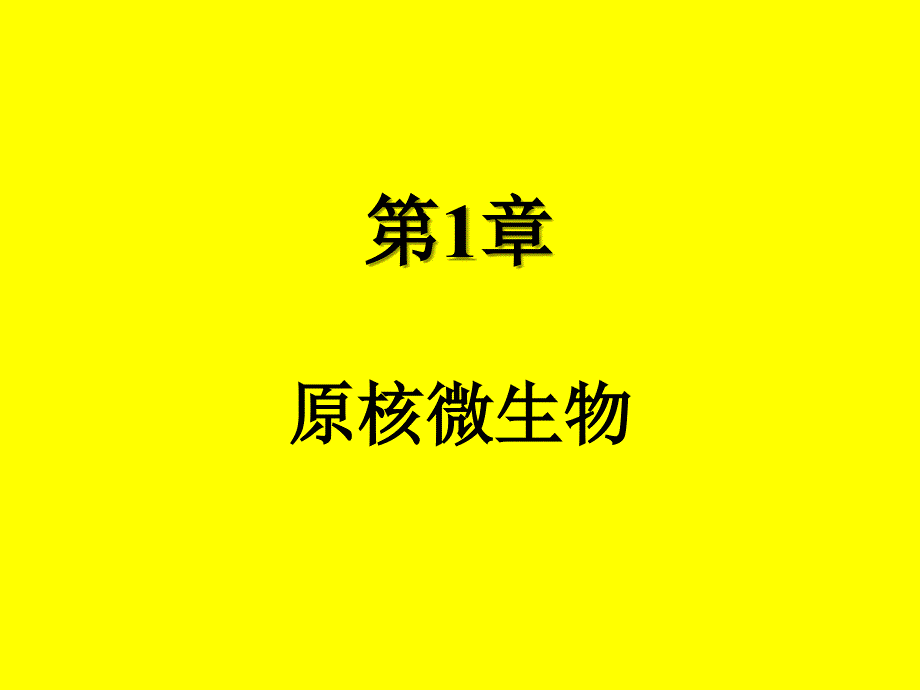 1原核微生物形态结构_第1页