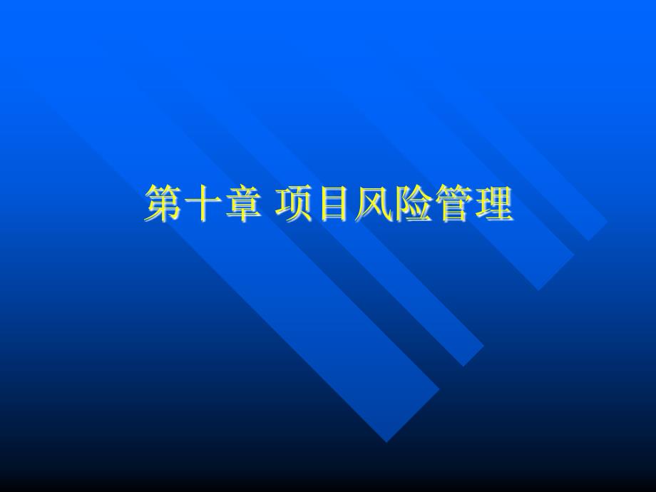 最新第十章项目风险管理第十二章项目风险管理_第1页