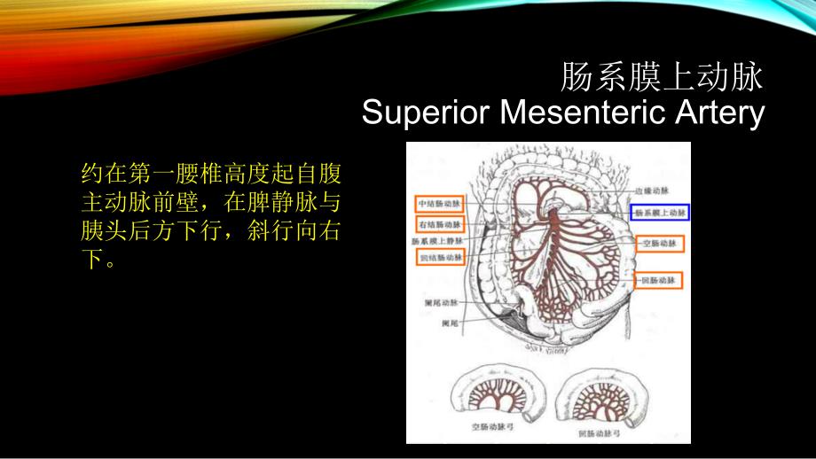 腹部血管疾病的超声诊断_第4页