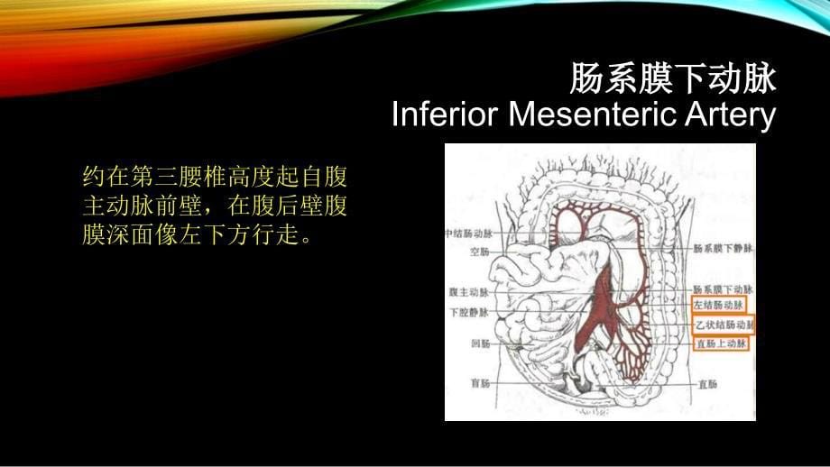 腹部血管疾病的超声诊断_第5页