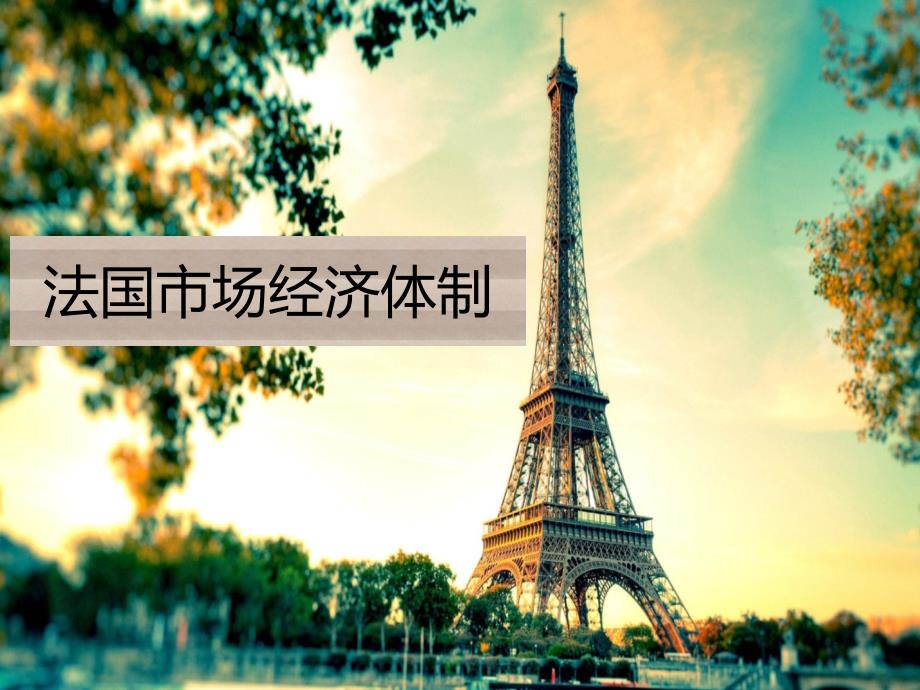 法国市场经济体制_第1页