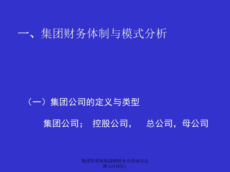 集团管理体制战略财务安排汤谷良博士118页课件_第3页