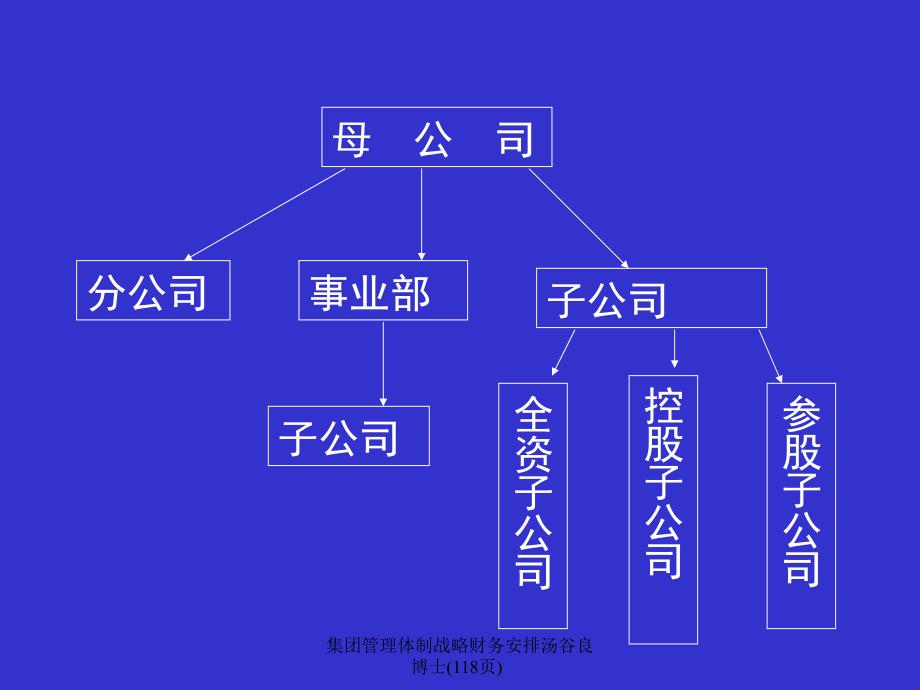 集团管理体制战略财务安排汤谷良博士118页课件_第4页