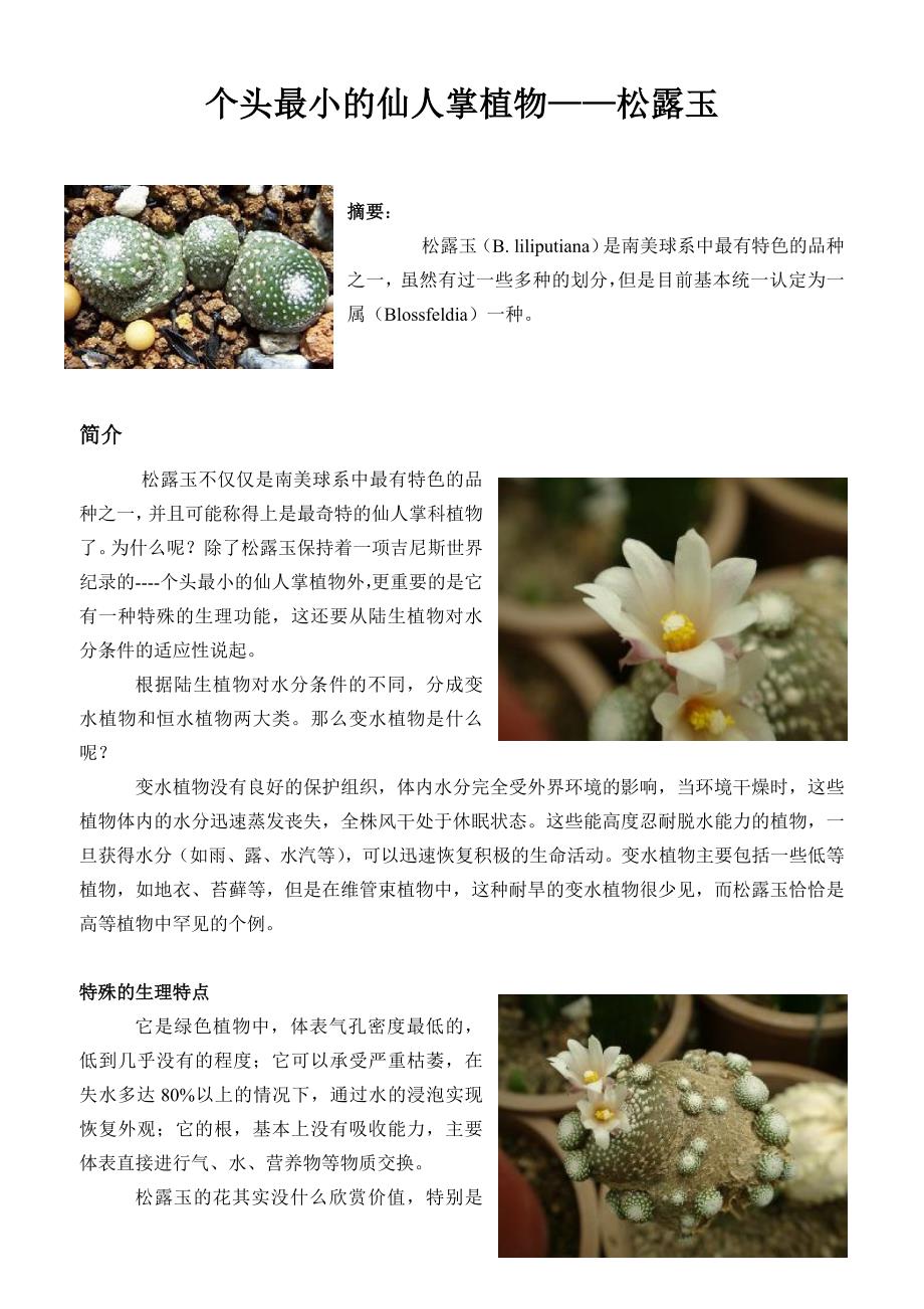 最小和最大的仙人掌.doc_第1页