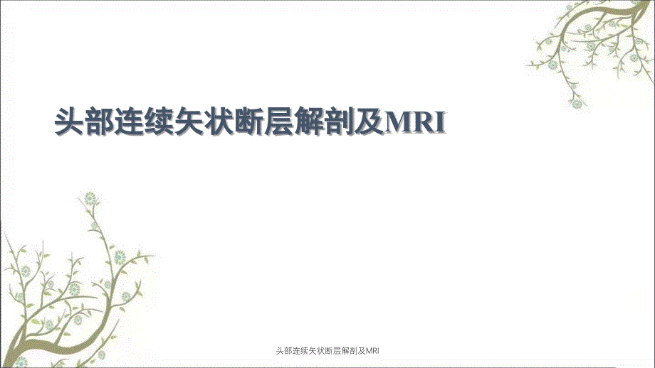 头部连续矢状断层解剖及MRI_第1页