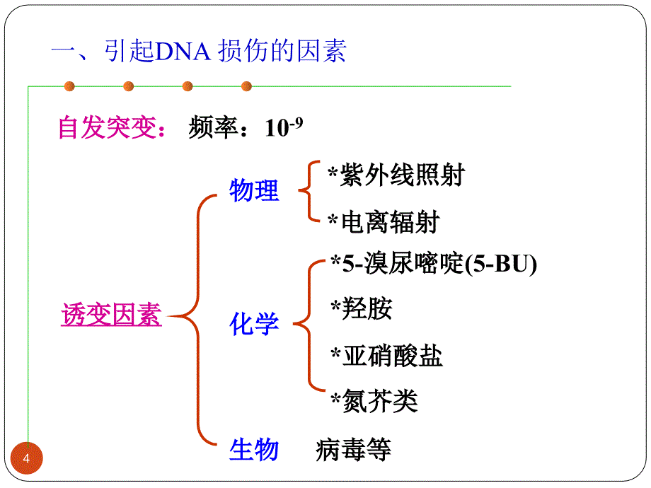 最新：dna损伤修复与抗肿瘤药物研究文档资料_第4页