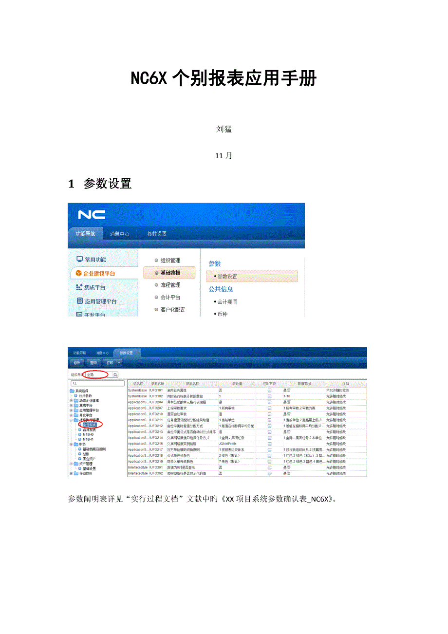 NC6X个别报表应用手册_第1页