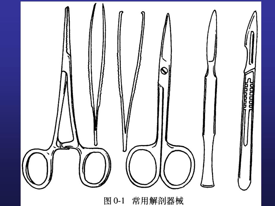 《局部解剖操作》PPT课件_第2页