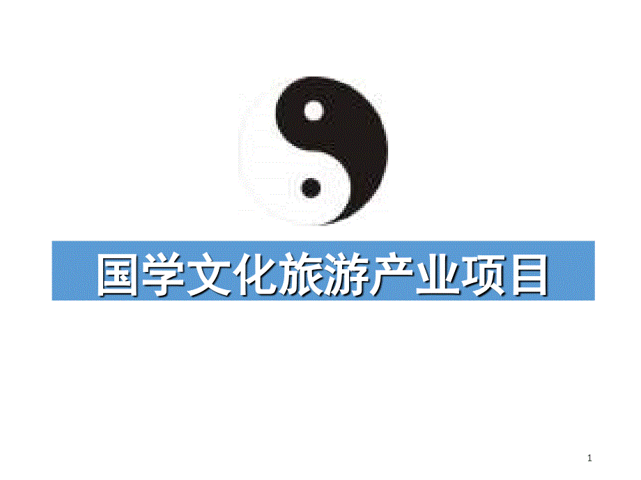 道家旅游地产政府汇报课堂PPT_第1页