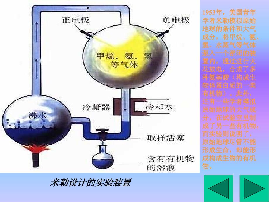 生物地球上生命的起源.ppt_第3页