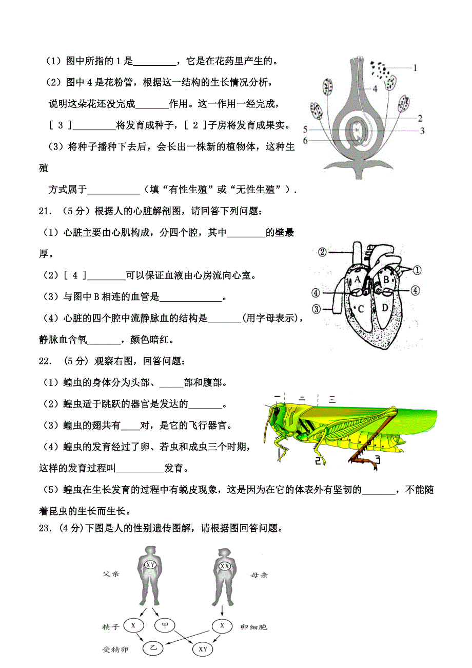 八年级生物结业模拟试卷_第4页