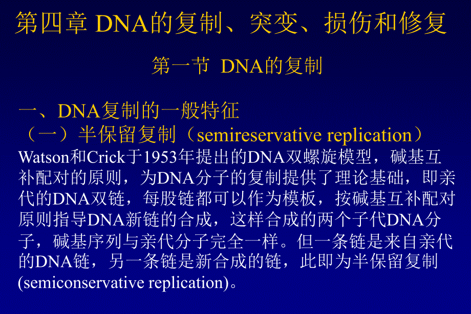 DNA复制突变、修复汇总课件_第1页