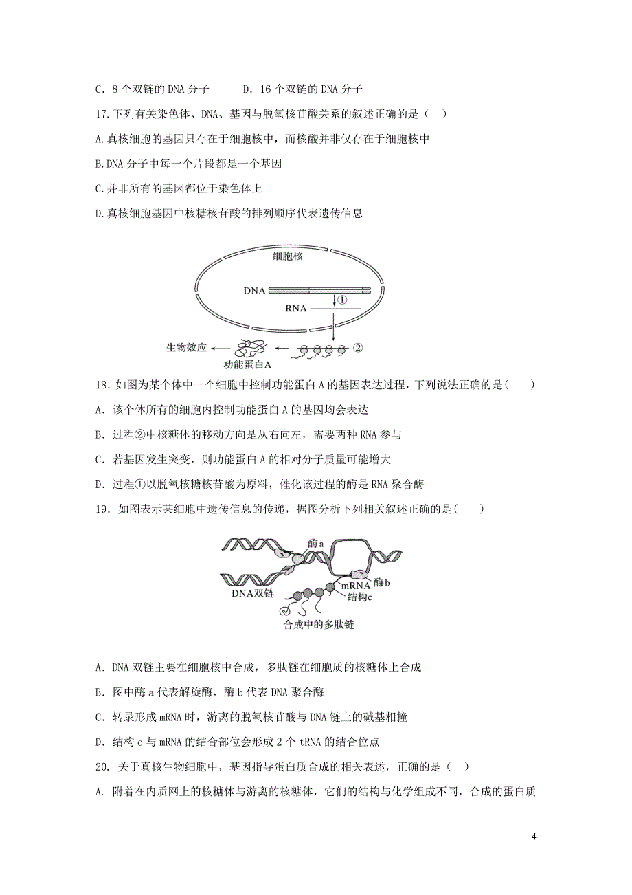 湖北省孝感市重点高中联考协作体2023学年高一生物下学期联合考试试题.doc_第4页