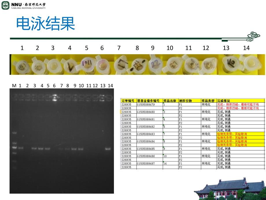 微生物学实验：实验四 产淀粉酶细菌的鉴定（续）_第2页