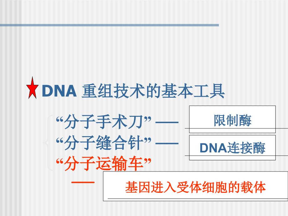 （）12基因工程的基本操作程序_第2页