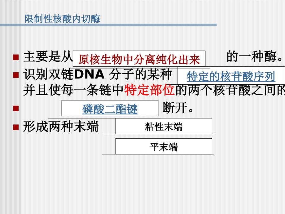 （）12基因工程的基本操作程序_第3页