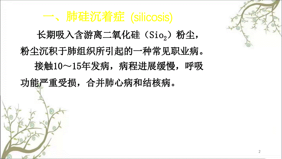 慢性阻塞性肺疾病课件_第2页