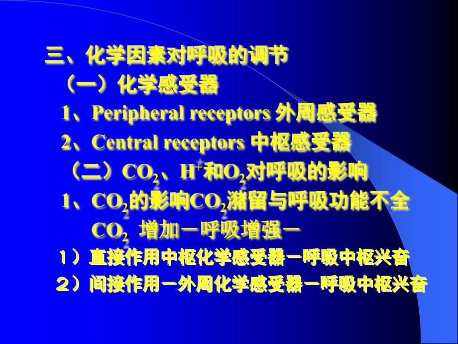 第四节RespiratoryRegulation呼吸运动的调节（一）呼吸中_第5页