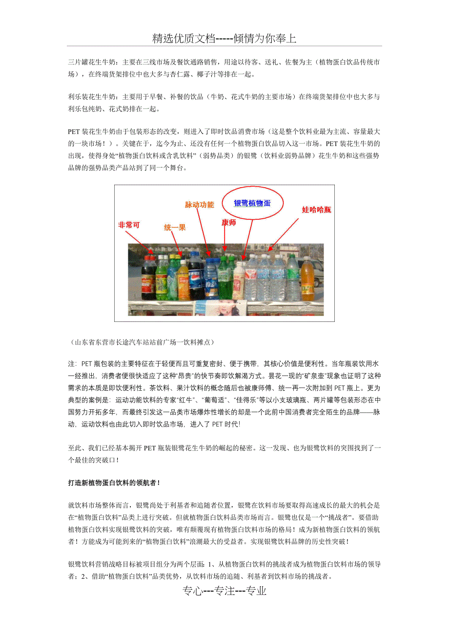 叶茂中策划：银-鹭-涅-盘(共8页)_第4页