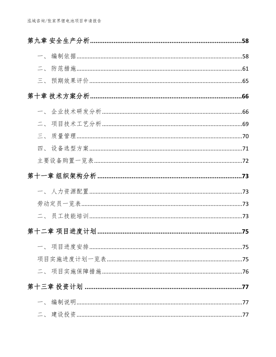 张家界锂电池项目申请报告模板范本_第4页