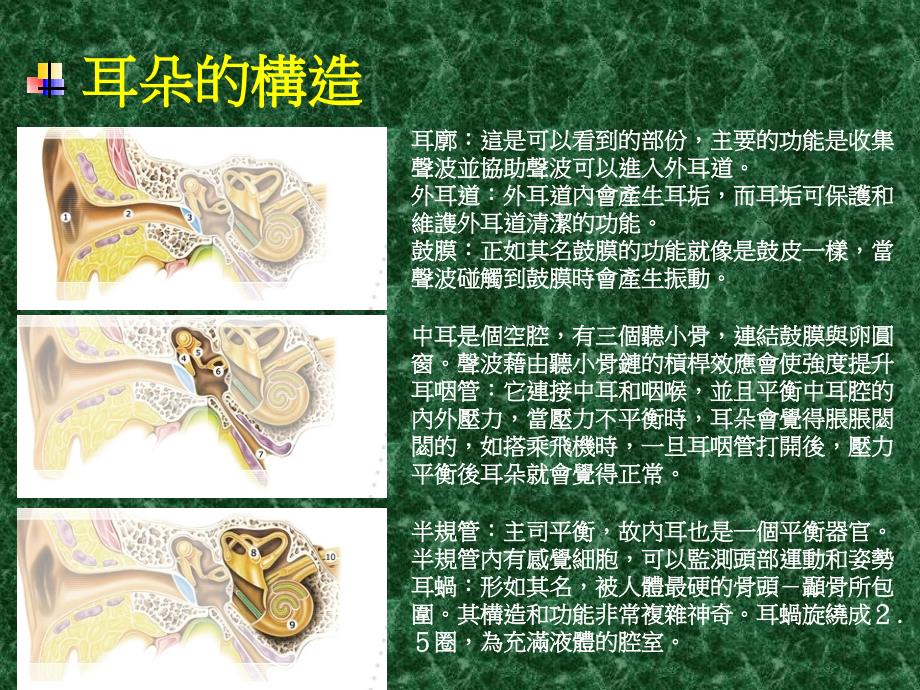 最新噪音与振动ppt课件_第2页