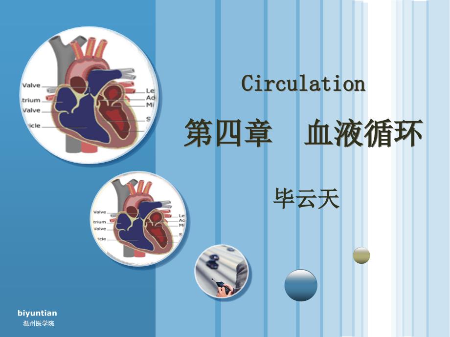 生理学课件：第四章血液循环_第1页