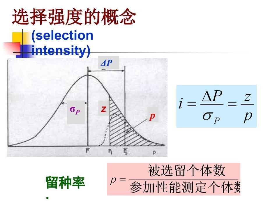 《数量性状的选择》PPT课件_第5页