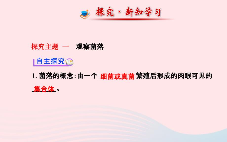 八年级生物上册第五单元第四章第一节细菌和真菌的分布课件新版新人教版_第2页