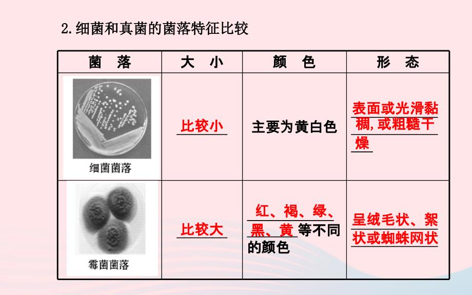 八年级生物上册第五单元第四章第一节细菌和真菌的分布课件新版新人教版_第3页