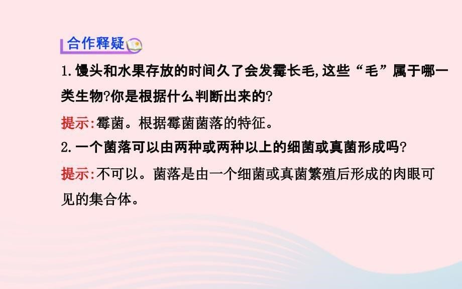 八年级生物上册第五单元第四章第一节细菌和真菌的分布课件新版新人教版_第5页