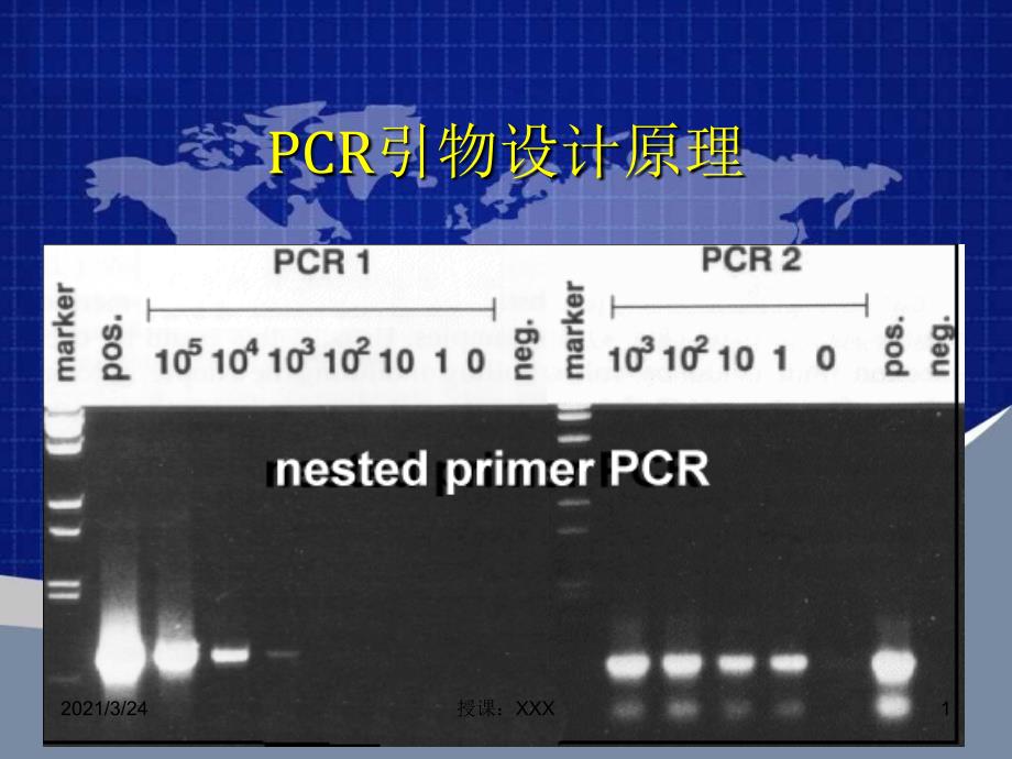 PCR引物设计原理PPT课件_第1页