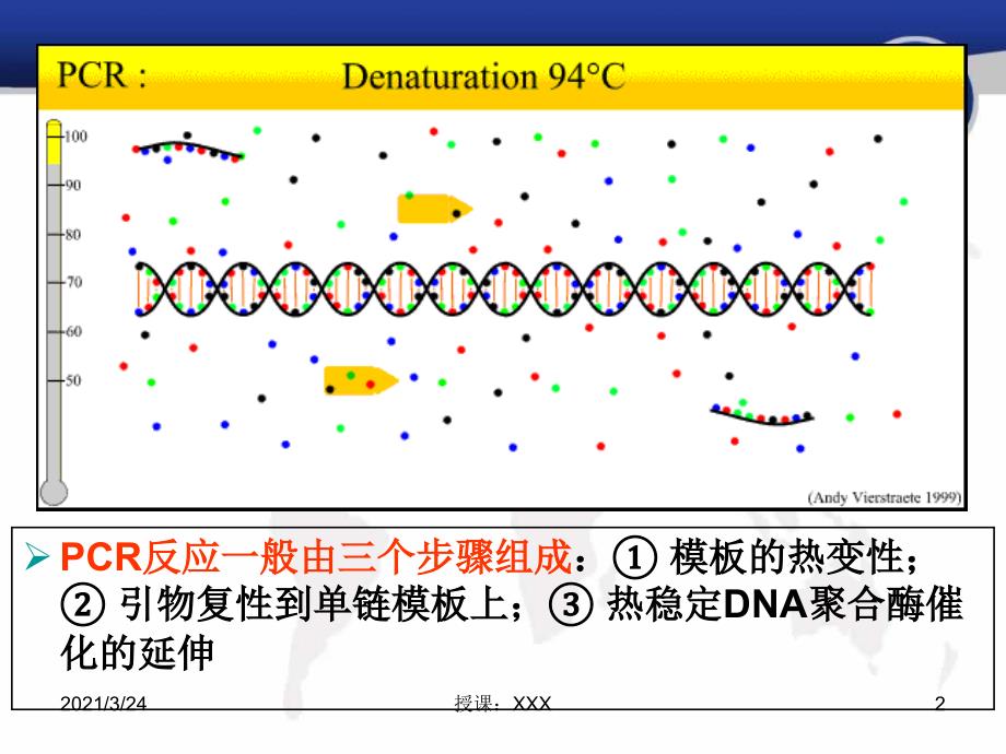 PCR引物设计原理PPT课件_第2页