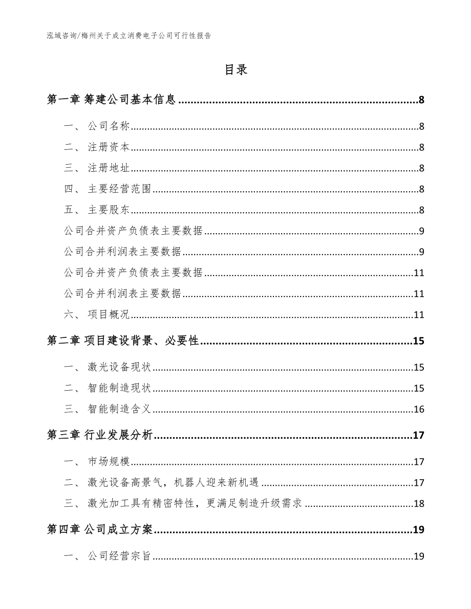 梅州关于成立消费电子公司可行性报告【参考模板】_第2页