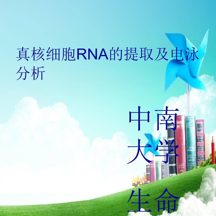 真核细胞RNA的提取及电泳分析_第1页