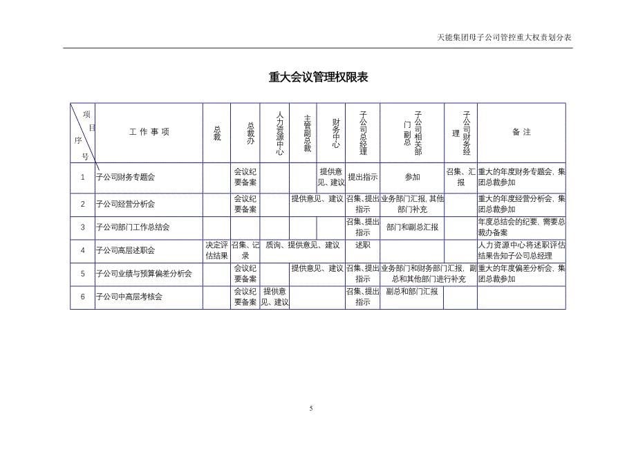 天能集团母子信息管控重大权责划分表[天能集团母子公司管控体系]_第5页