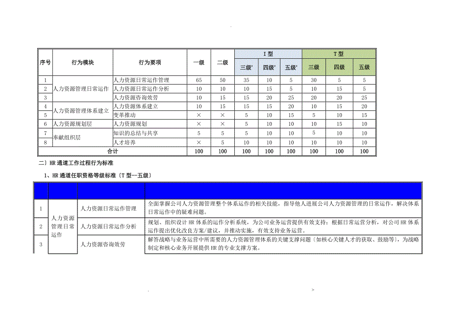 TCL任职资格体系资料HR_第4页