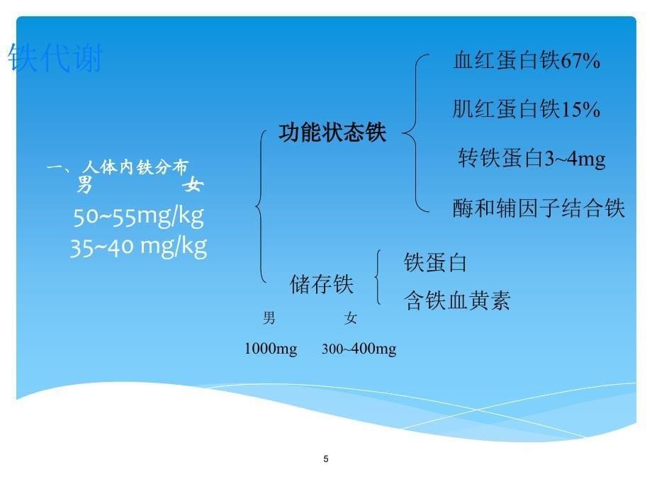 缺铁性贫血内科学PPT医学课件_第5页