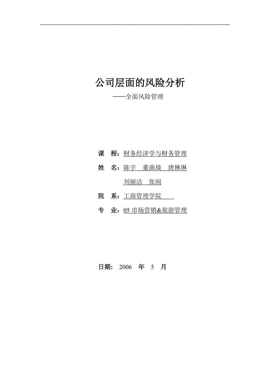 公司层面的风险分析——全面风险管理(doc)_第1页