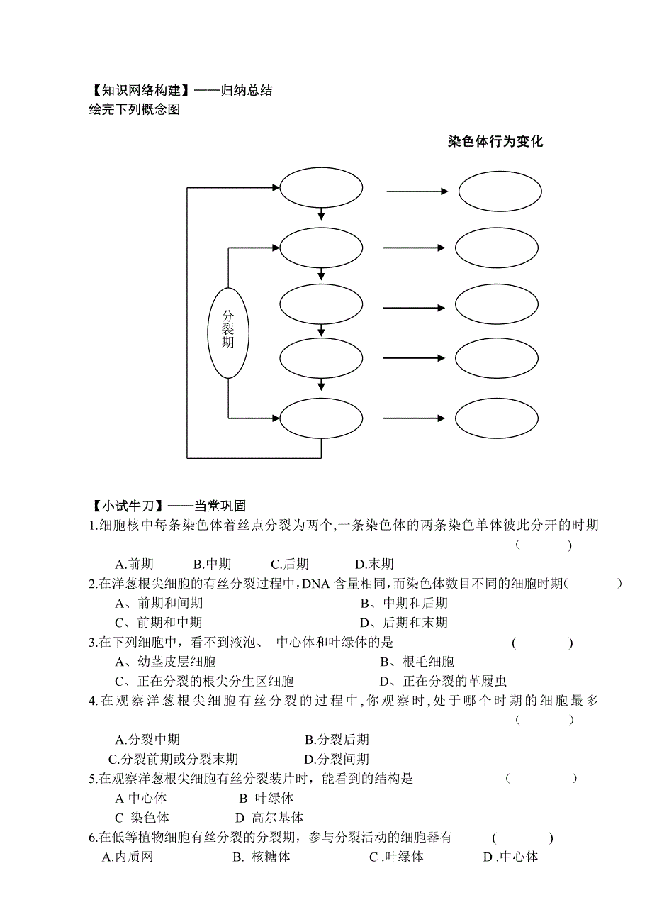 细胞的增殖教学案（教育精品）_第2页