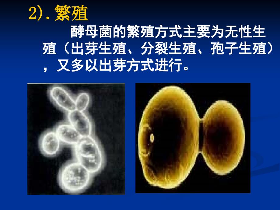 果酒果醋的制作方法_第4页