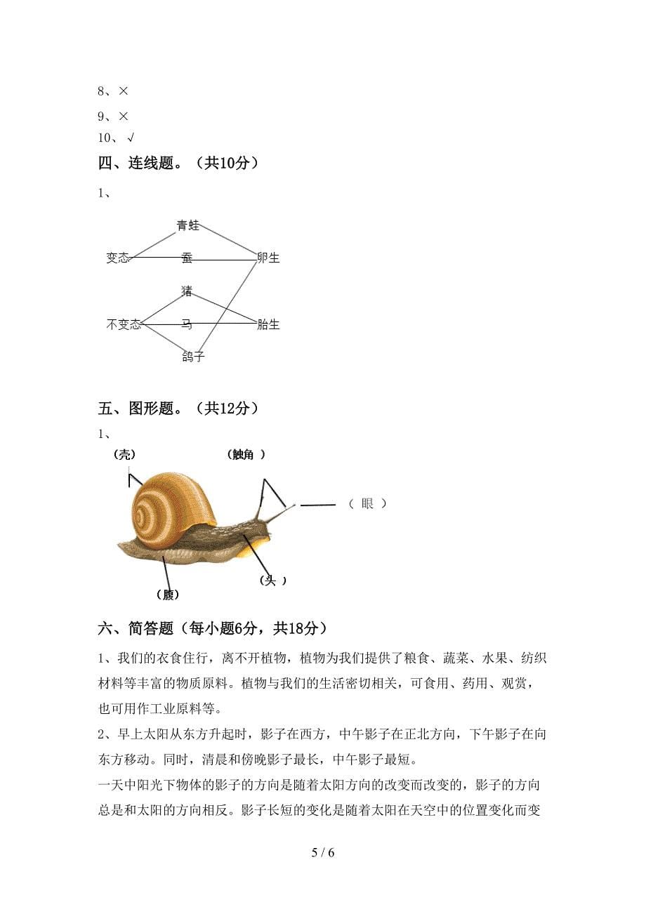 三年级科学下册期中考试题及参考答案.doc_第5页