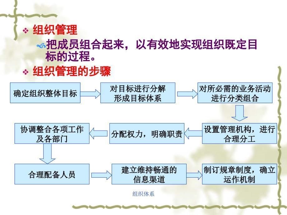 组织体系课件_第5页