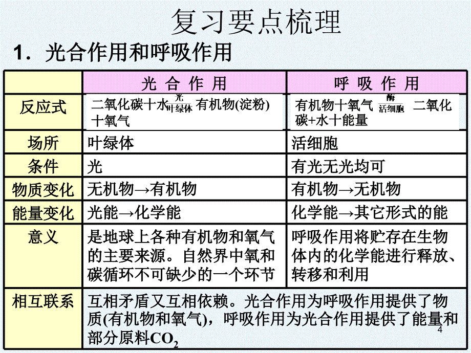 绿色植物的新陈代谢PPT课件_第4页