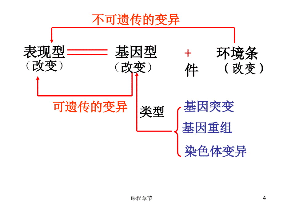 5.1 基因突变和基因重组【上课课堂】_第4页