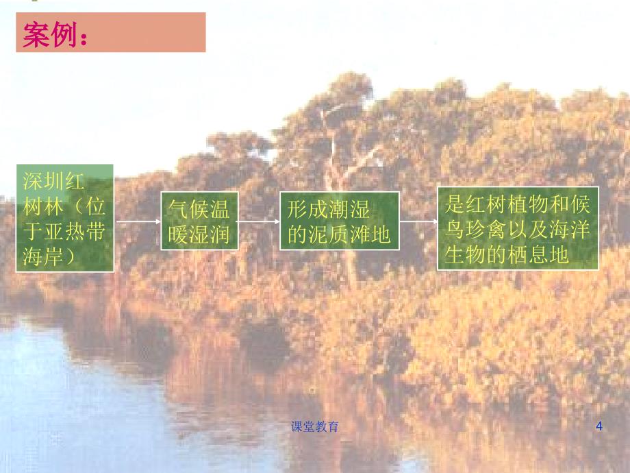 3.2地理环境的整体性和地域分异优教课堂_第4页