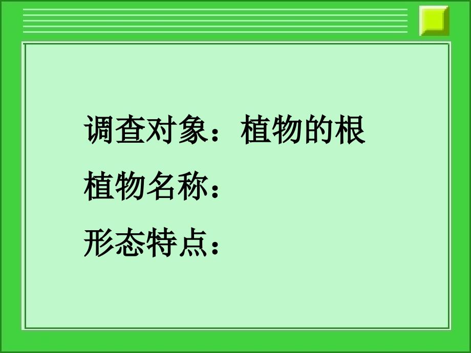 21在实验室里观察植物0_第2页