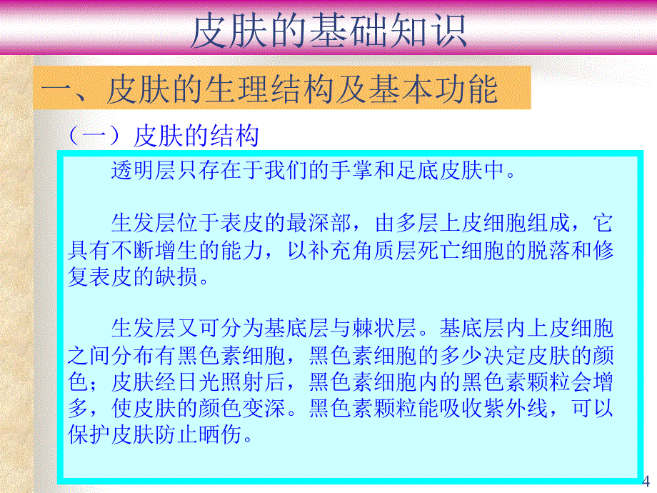 皮肤基础知识89772_第4页