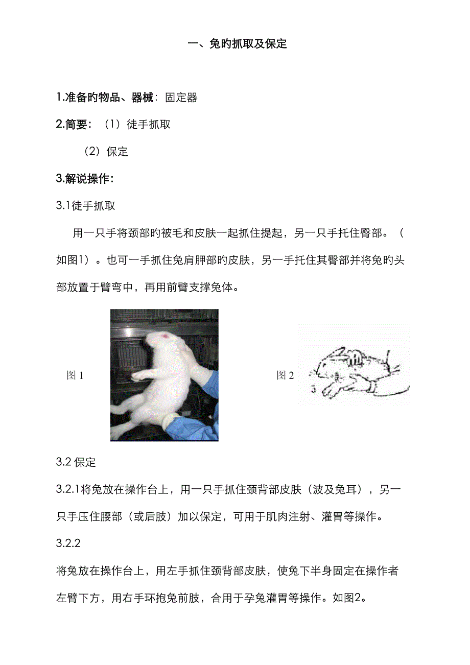 兔实验重点技术操作_第1页