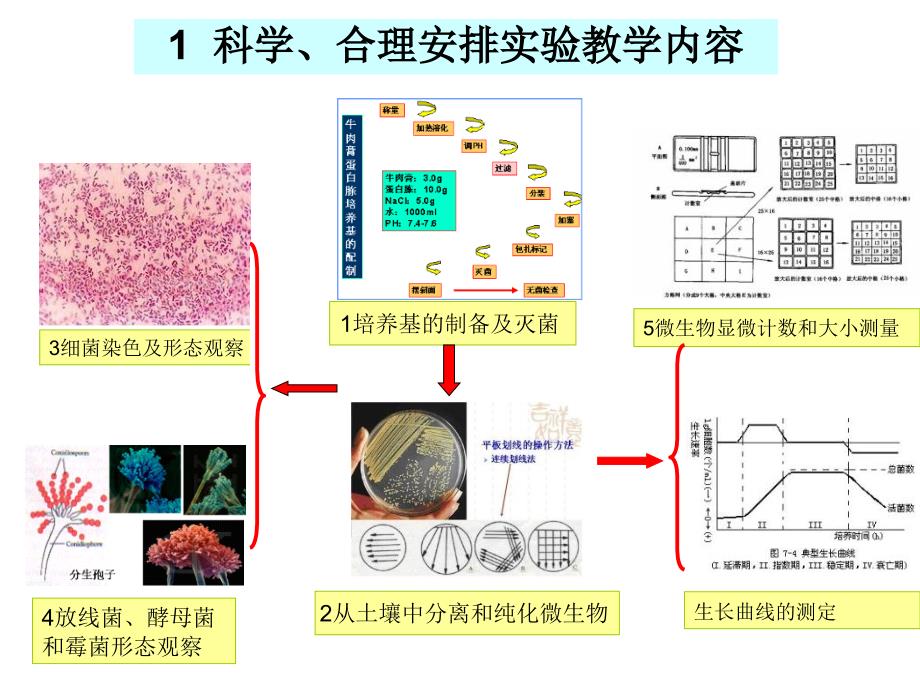 微生物学教学讨论PPT课件_第2页